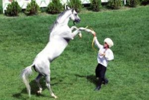 Türklerde At Kültürü